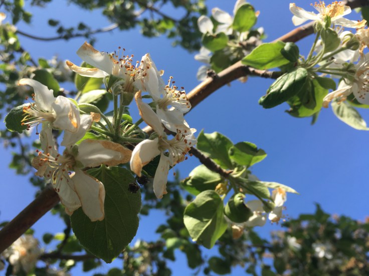 D8EB1AF4-EA0F-4035-98CC-451139F0838C